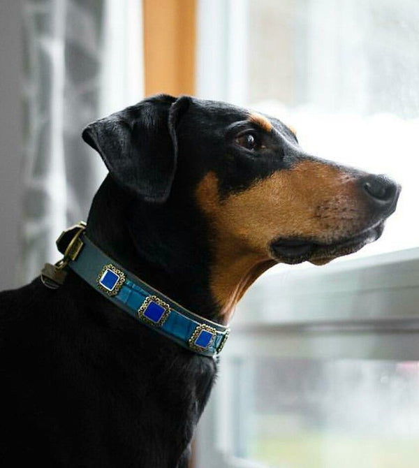 Gregorian Elegance Dog Collar - BARCELONADOGS