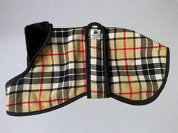 Camel Tartan TODAS LAS RAZAS