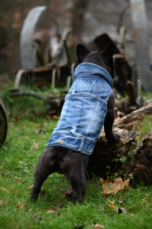 Chaqueta vaquera para perro