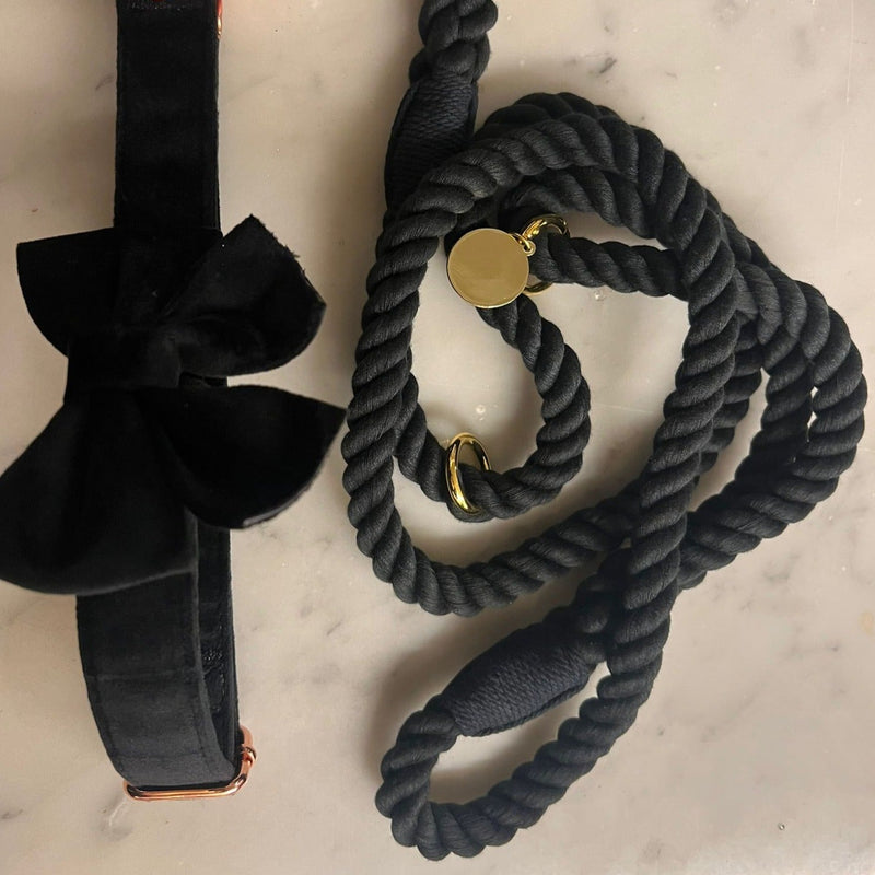 black bow tie in velvet and rope leash matching