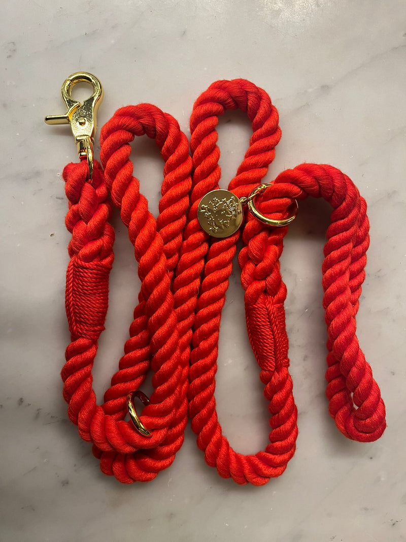 Rope leash for dogs