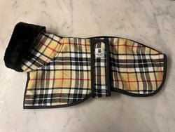 Italian Greyhound coat camel tartan