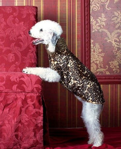 Abrigo de perro con Galgo forma de leopardo - BARCELONADOGS