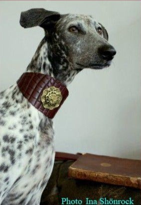 Rosa antigua Galgo Collar