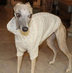 Suéter beige para pequeños Galgos