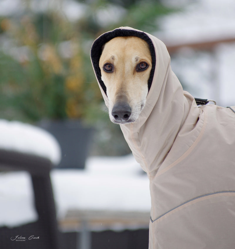 elegnat  dog coat for sighthounds in beige and black faux fur