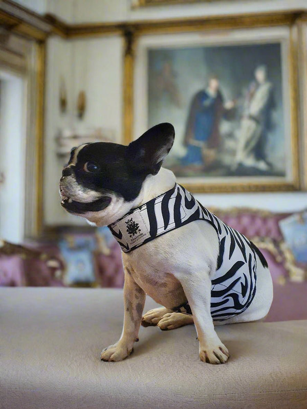 silky soft harness jacket for dogs in zebra