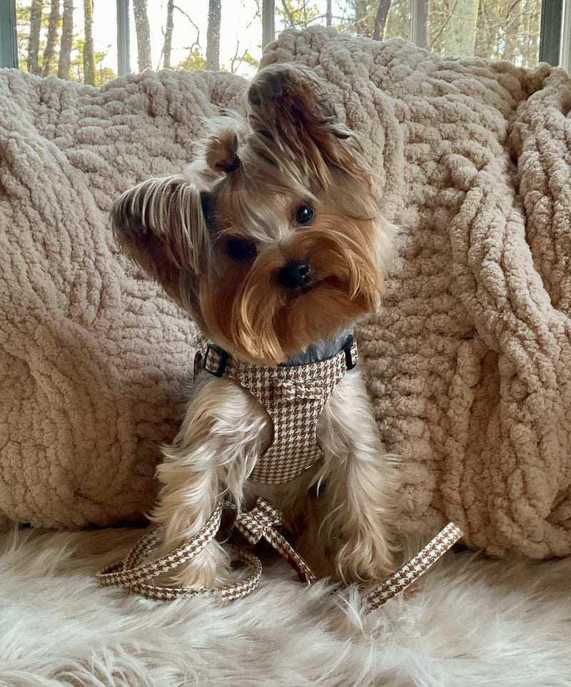 dog harness in beige brown and white