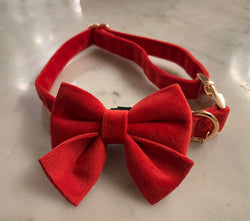 red dog bow tie in vlevet