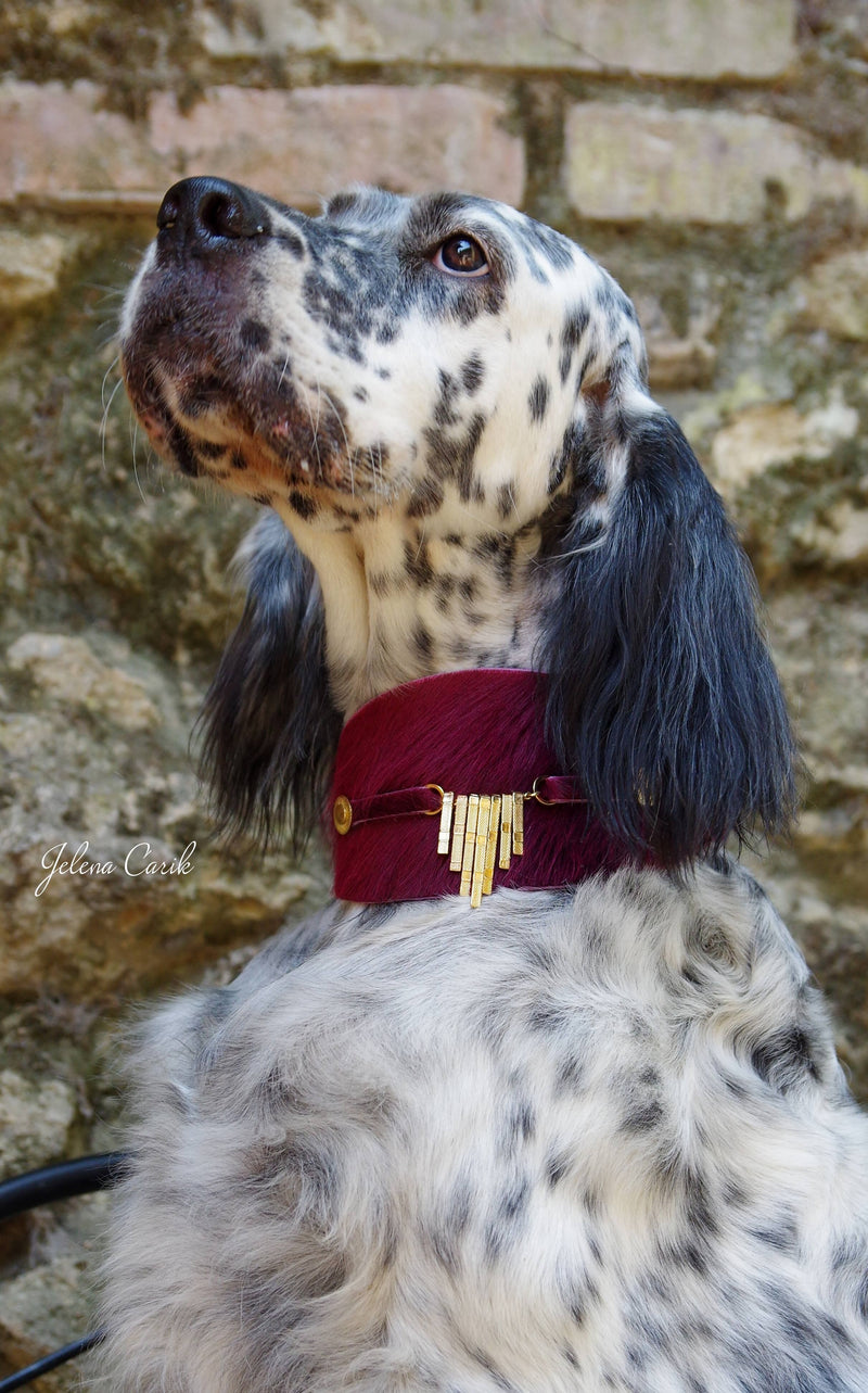 Bisarra Vinthund halsband - BARCELONADOGS