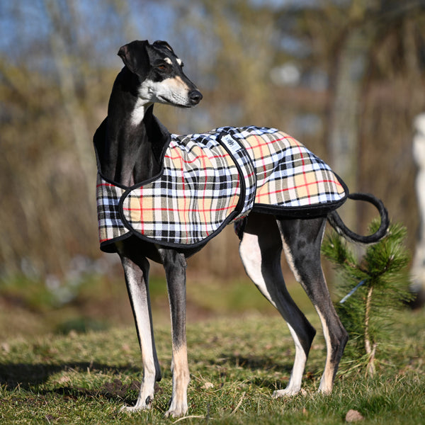 Camel Tartan ALL BREEDS