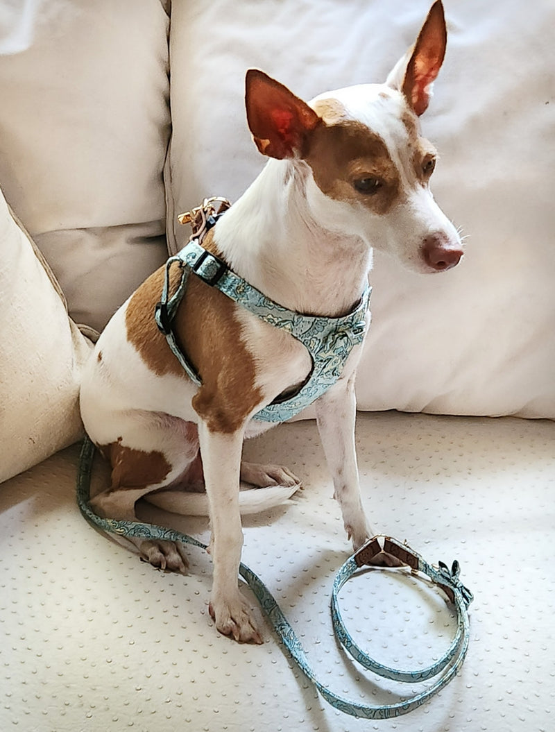 LUXURY Harness in Silk