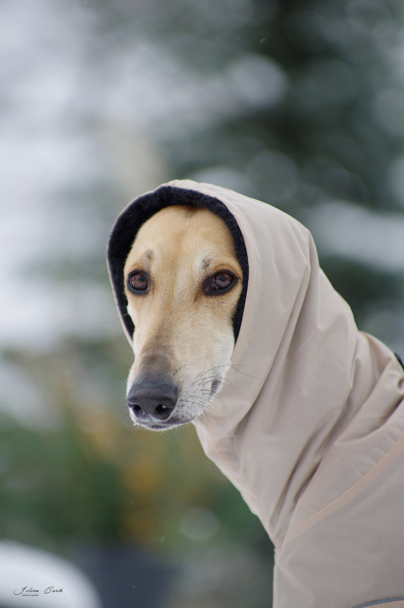 Beige Waterproof Urban Coat