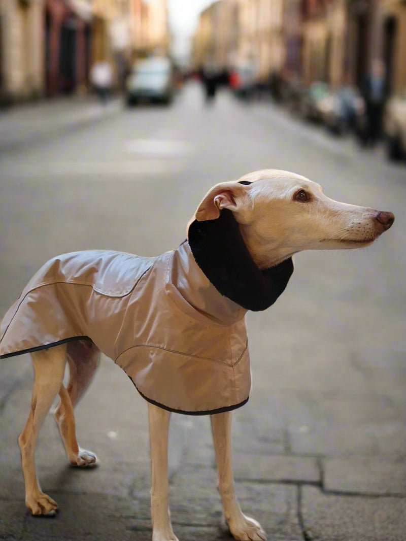 Beige Waterproof Urban Coat