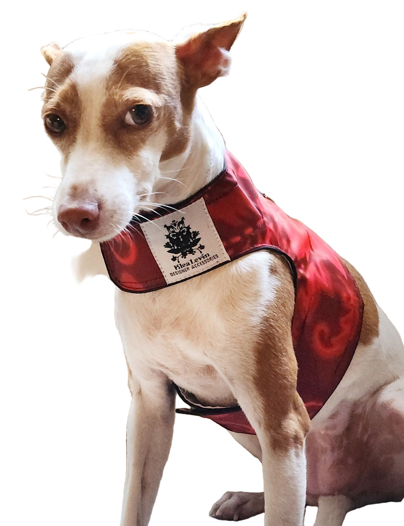 Dog wearing a red harness with a brand logo on a beige couch