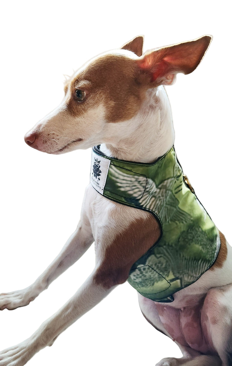 Dog wearing a green patterned harness outfit sitting on a white sofa surface