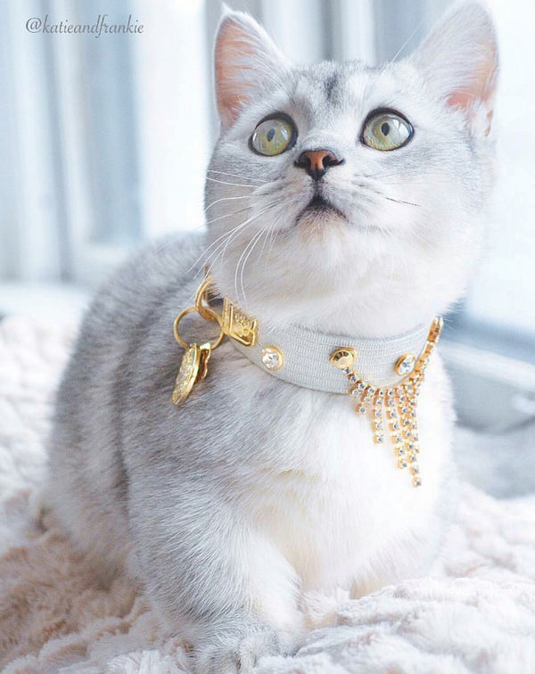 Cascade Cat Collar