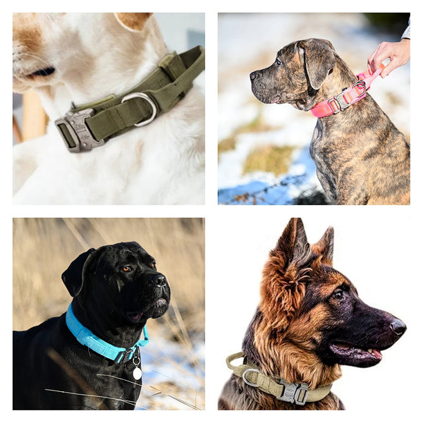 Working dog fabric collar