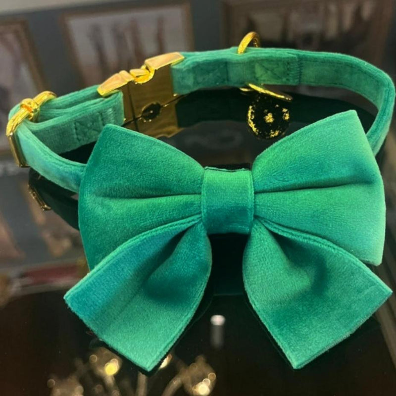 Velvet Bow tie Dog Collar