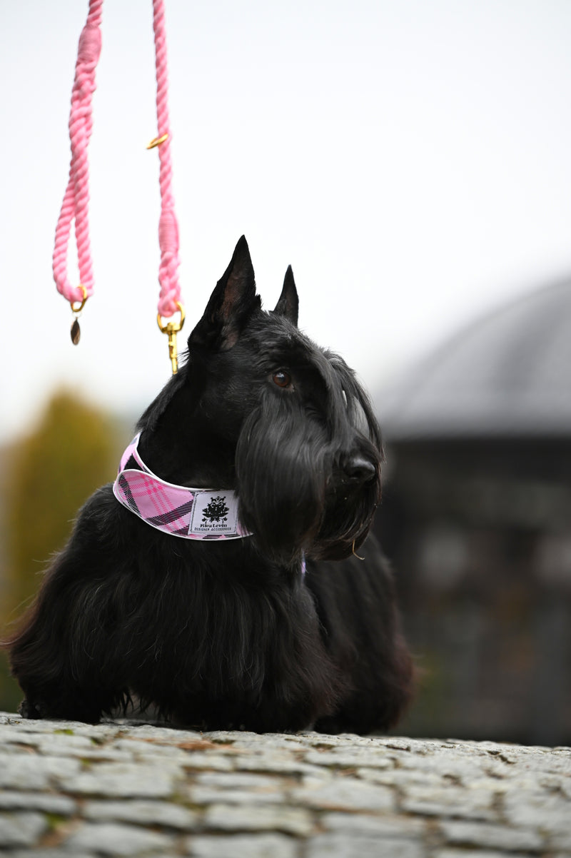 Pink Tartan Harness Coat