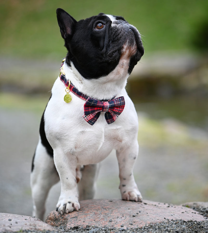 Red Tartan Bow tie