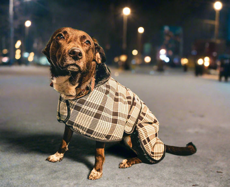 Black white Tartan ALL BREEDS