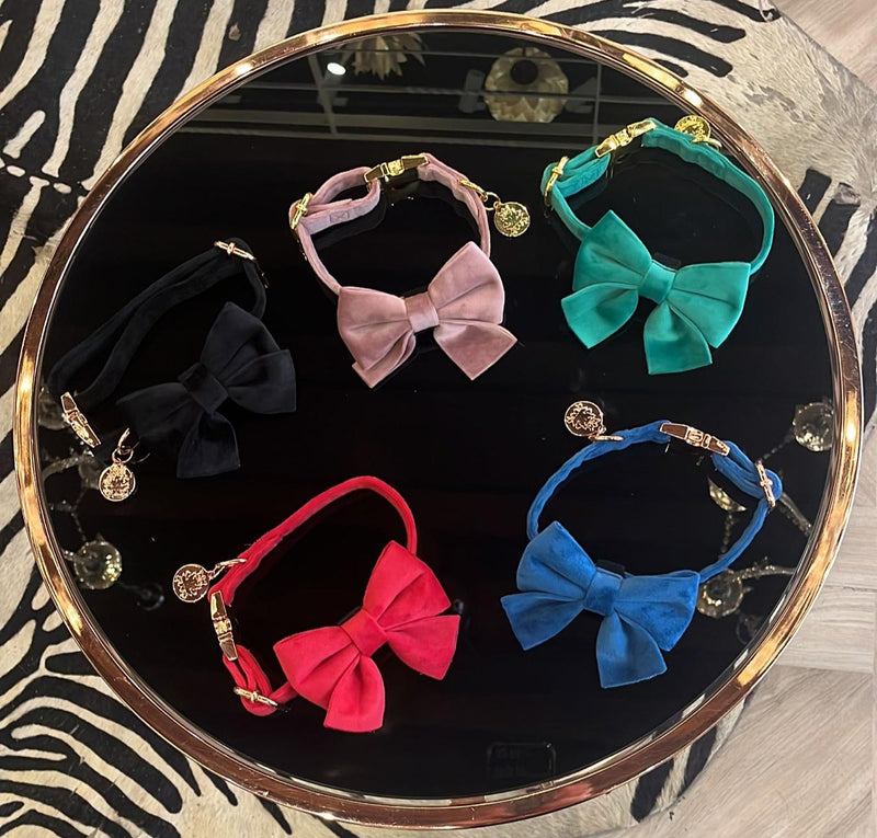 Velvet Bow tie Dog Collar