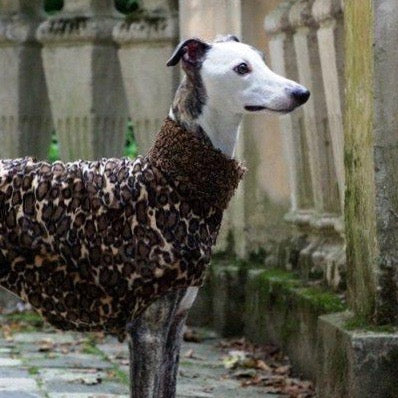Leopard Sighthound shaped Dog Coat - BARCELONADOGS