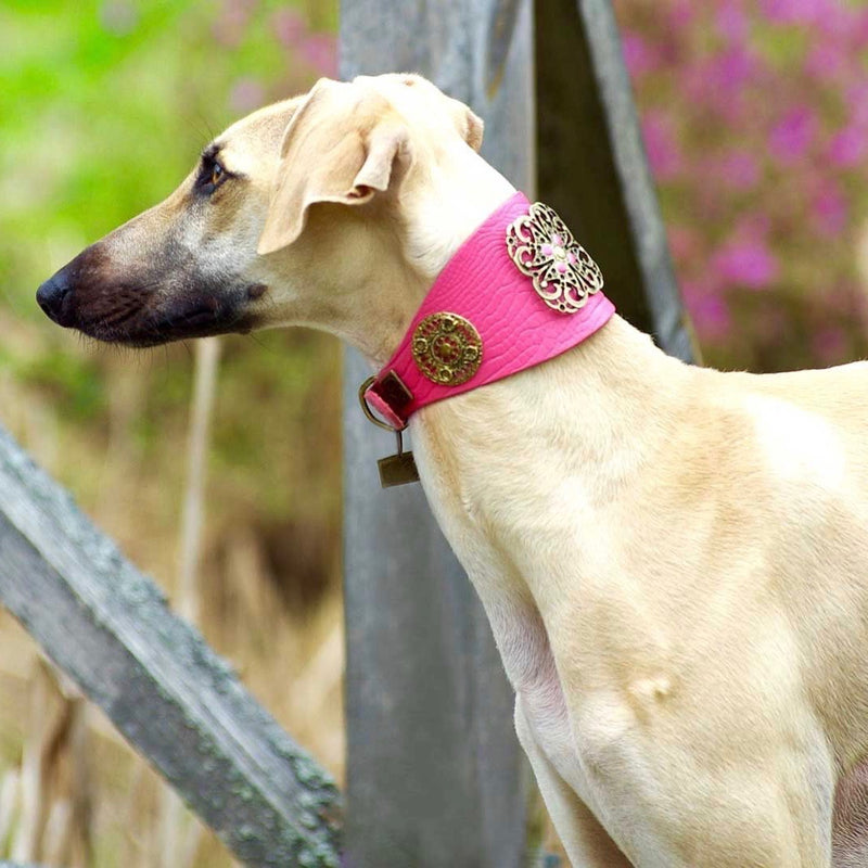 Flower Power Sighthound Collar - BARCELONADOGS