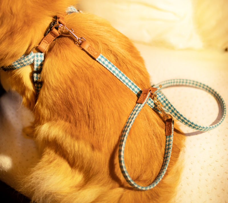 MATCHING LEASHES for LUXURY Harness