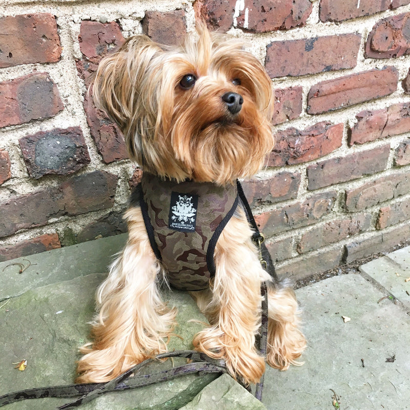 Military Velvet Dog Harness with Leash - BARCELONADOGS