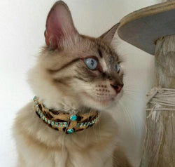 Serendipity Cat Collar - BARCELONADOGS