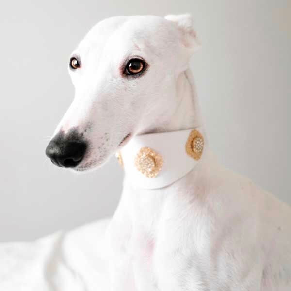 Filigree Crystal Sighthound Collar - BARCELONADOGS