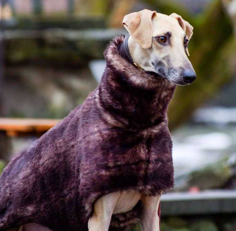 Faux Fur Sighthound Coat - BARCELONADOGS
