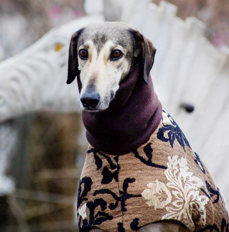 Haute Couture Brocade Dog Coat - BARCELONADOGS