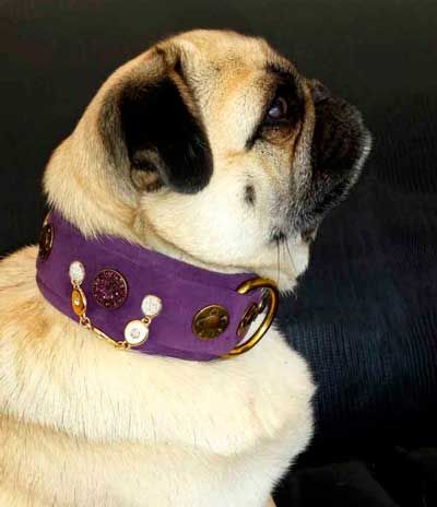 Half a Legend Dog Collar - BARCELONADOGS