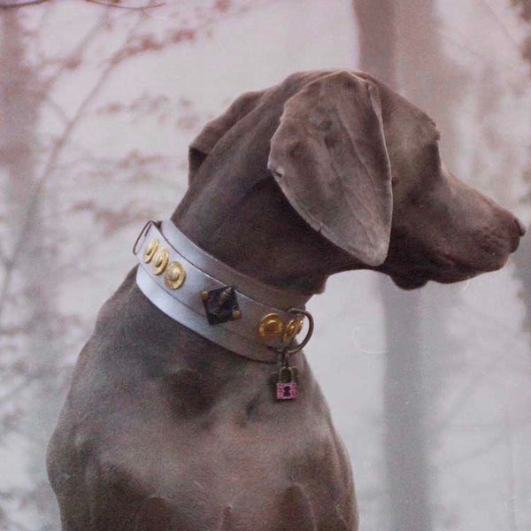 Buddha Silver Dog Collar - BARCELONADOGS