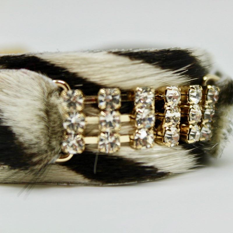 Masculino Zanzibar Dog Collar - BARCELONADOGS