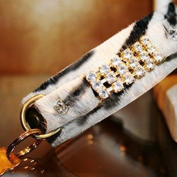 Masculino Zanzibar Dog Collar - BARCELONADOGS