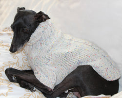 Beige sweater for small Sighthounds