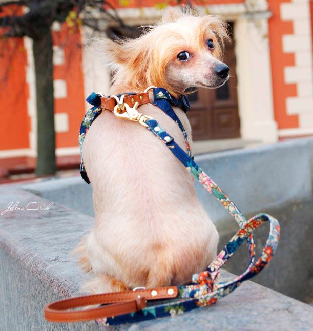 Tropical Navy Dog Harness - BARCELONADOGS