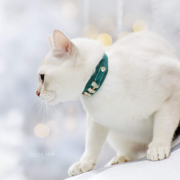 Petit Blanche Cat Collar