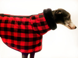Red Black Buffalo Plaid Sighthound Coat