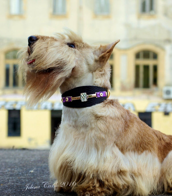 Saigon Dog Collar - BARCELONADOGS